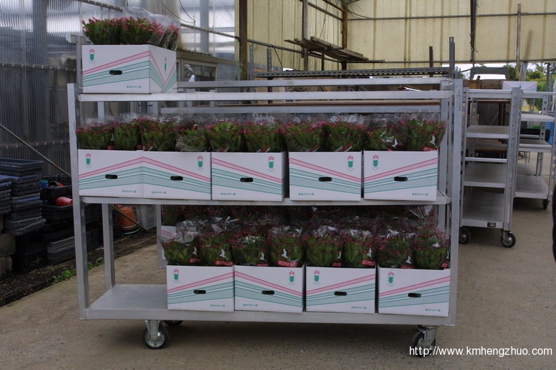 HZ-558型花車貨架